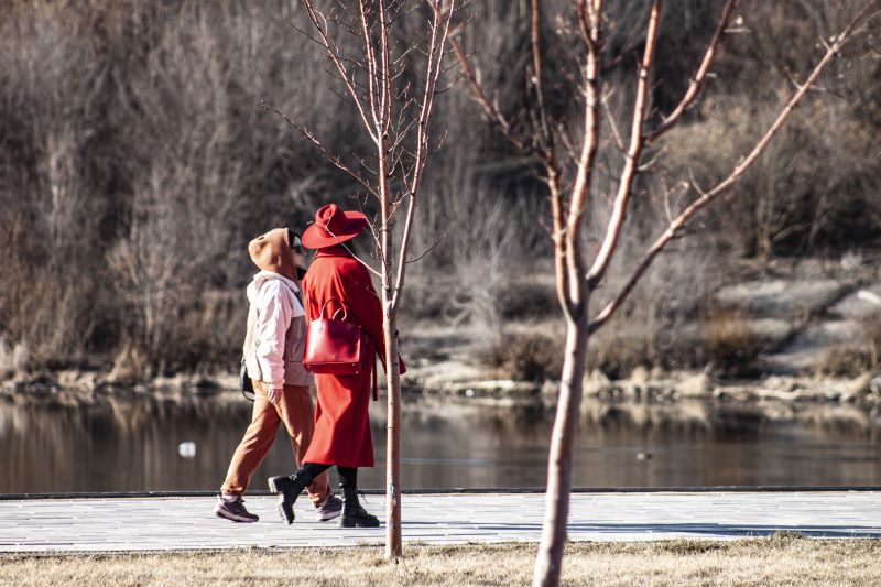 � �������� ��������� ������� ������������ �������� �����, ���� � ����� ������ ���������