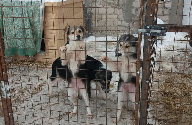 � ������� ������ �� ��������� ������ �� ������ �������� �������� - ������� ������������� ������ �������