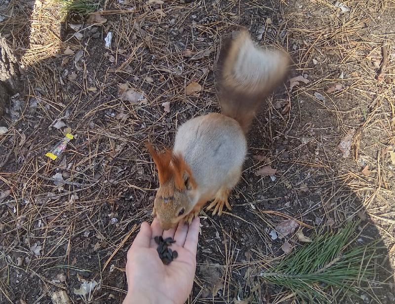 ������ ������� ������ ��������� ����� �� ����������� ������, ���� ������ �� ������ �����