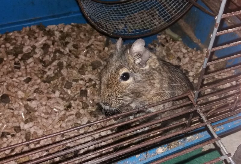 ������� �� ����� ����� ���� �� ����� ������� ����