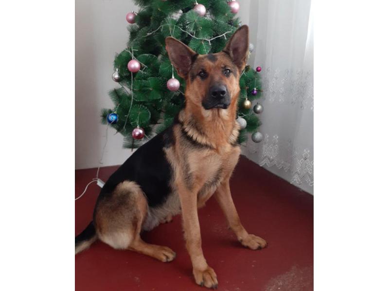 ����������� ����� ������� ������� ����� � ������� �� ������ - � ������ ��������� ��������� �������������� �������