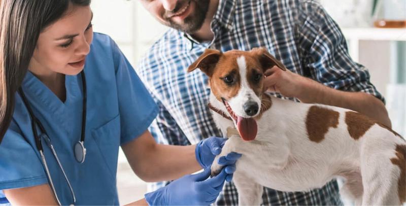 ���������� �������� �������� ���� ������ �� ������ �����������, �� ������ 1 ���� � �����