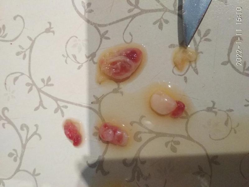 ���������������� ���������� ���������� �� ���� ���������� ������� �� �������