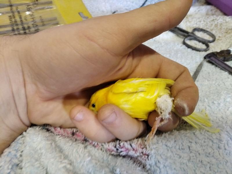 ����� ��� � �������, �� ������ ���: �����-��-������ �������� �������� ��������� � ���� ���������� ������