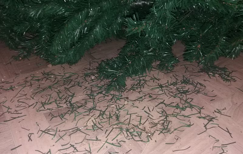 ������ ������� � ��������� �����: �������� ��������� ���������� ���� � ����, ����� ������ ��������� �� �������