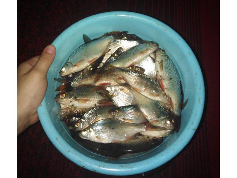 ���� � ����� ��� �������� ����� ������������ ����� comme il faut: ��������� ��������� ������� �����