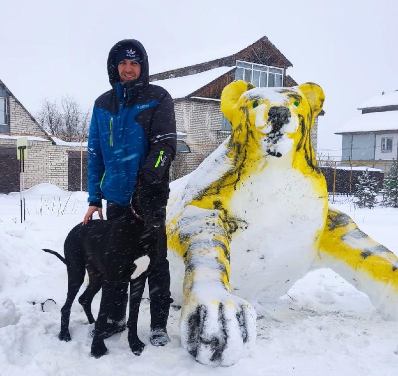 ������ ����������, ������ � �������� ����� �������� ����� ����������