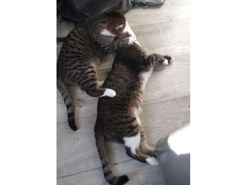 �� ������ ������, �� ��� � ������: ������� ������� ������� ������ ���� �����������, � ����� ������