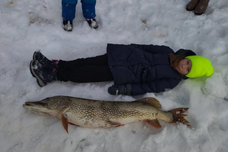 ���� ������ ����� ����� ����� ������ ������� ������ ��������� ����