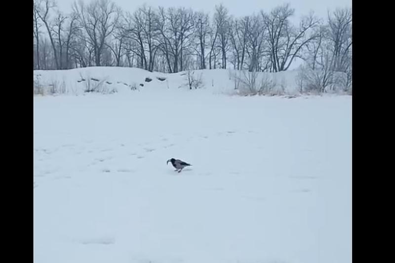 �������������� ������ �� ������� ������� ���� ����, � ��������� ���� �� ��������