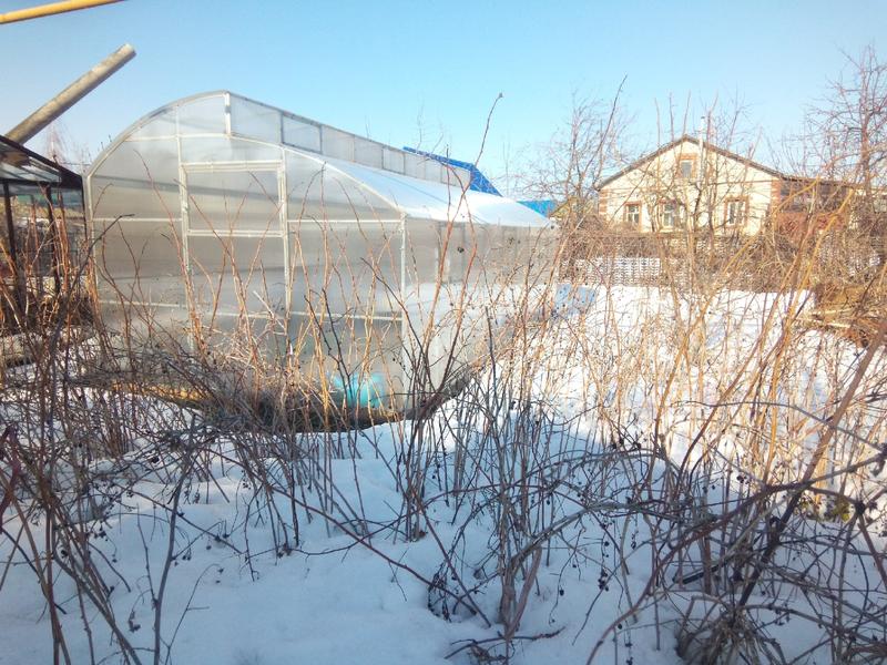 ������ ������� ����������� ��������� ����������, ����� ������ ������� �� ������