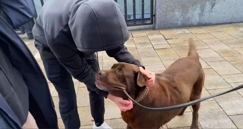 ������������� ������: ������ � ����������� ������� ��������� � ��������