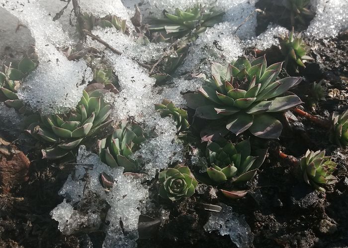 ����� ����������� ������ ���� � ������� �����, � ������ ����������� � ���������� ������