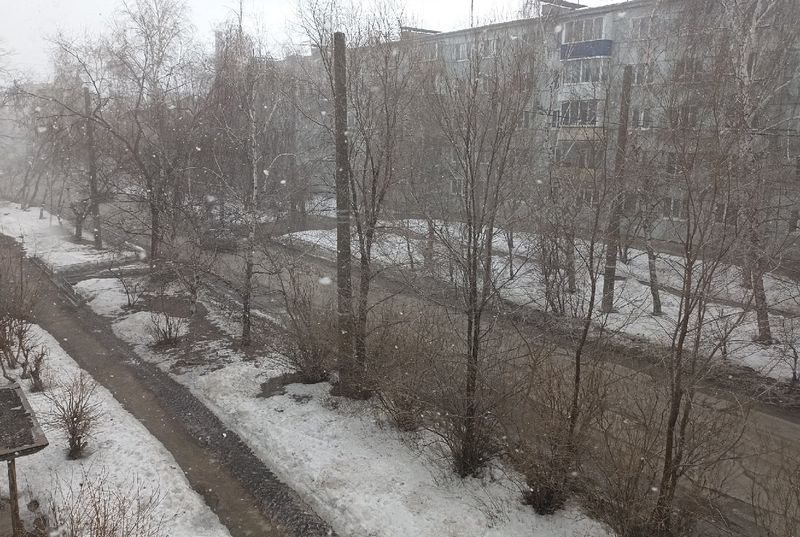 �� ����� �� �����������? �������� ���� ��� ����� ����� ��������� �������� ������� ������. �����