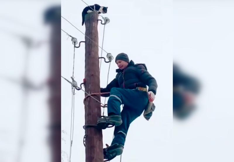 �������� ����� ������ � ���� ������, ������������ ��� ��� �� ������