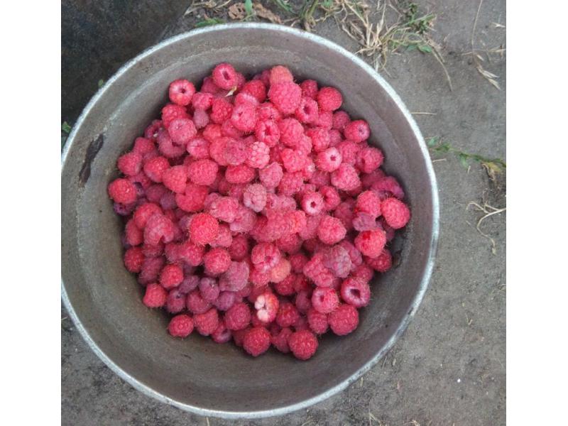 ���������� ������� ������� ������� �� ���� � ������������� �� �������� ������