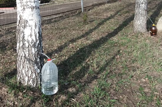 �������� ������� ���� � ������� ���� �������� ��������� �������. �� ���� ������