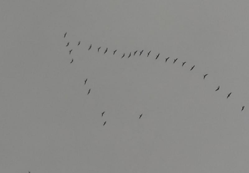 ���� ��� ���� ������� ����� �� �������� ���������, ��� ����� ������� ������. �����