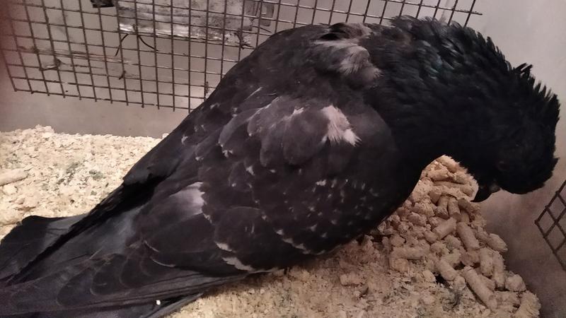 ������ ������� ������� �� ����� ������ �������� ������ � ������ ��������� ����� ���������� �����