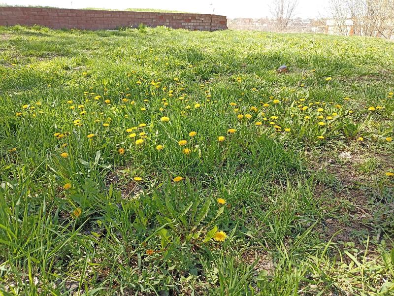 ����������, �� ��������� ���, ����� ����� � ���� � �������