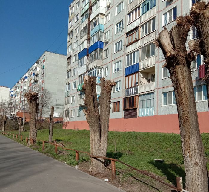 �������� ����������� ��-�� ������� �������� - ������� ��������� ����������� ��������������� ������