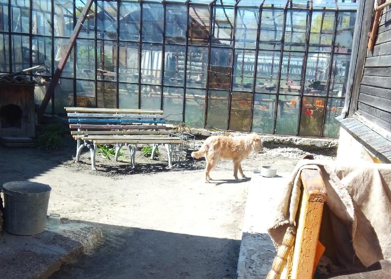 ����� �������� ����� � ���������� �������, ����������� ������ ���� ��� ��������