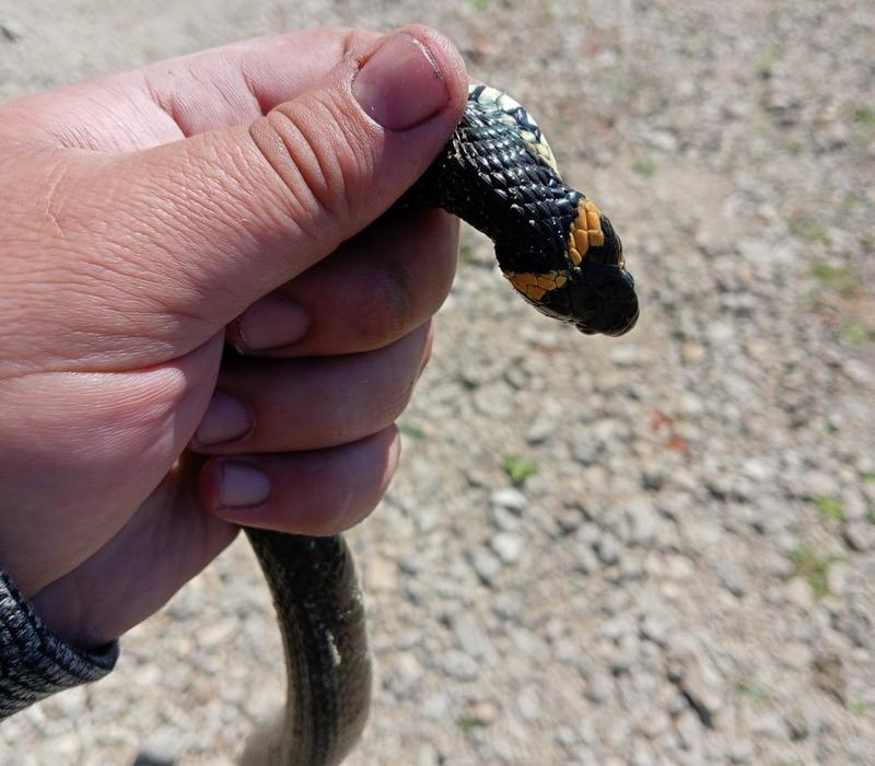 ������ � ��������� ���� �������� �� �������� - � ������������ �� �����