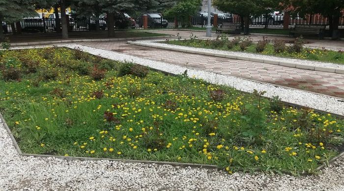 ����� ������, ����� �� ������? ������������� �������� ����� � ������ ������� �������� �������