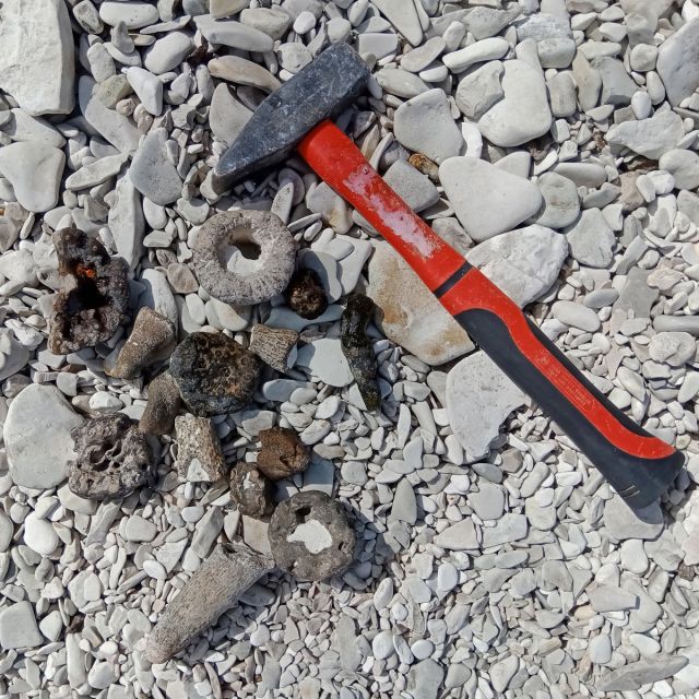 �����������-�������� �� ������ ����� ��� �������� ���������� ���������