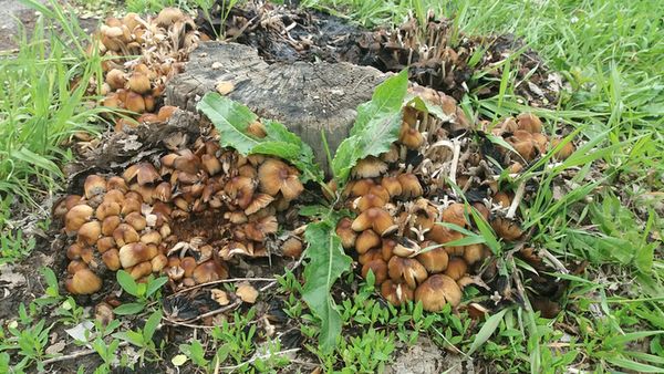 � ������� ����� ������������ ���� - ������ ������� ����� ��������, �� ����� �������� ����� �������� ������� �����