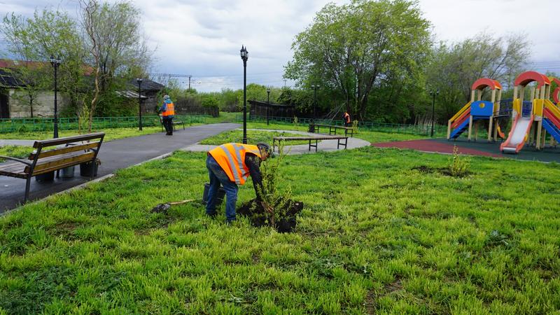 � ���������� �������� ������ ��� � ������������ ��������