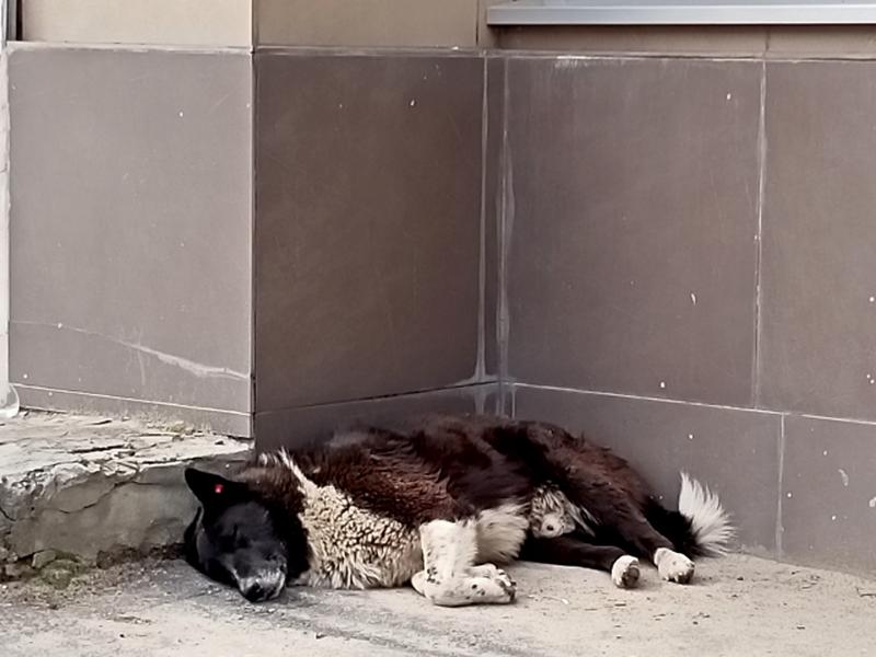 ������� ������� ����������� ����� �� ����������� ������� � ������� ������ � ���: � ��� �� ����� ����