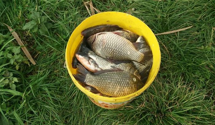 � � �����, � � �����: �������� ������� ������������ ������� ������ � ���������� ����� ������� �����