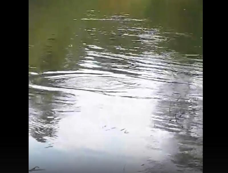 ���� ��� ������!� �������� � ��� ���� �� �������� ������ � ������������ � ������� �����