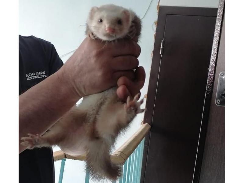 � �������� ���������� ������� ���������� ���������� �������, ������� ���������� ��� ����� � �������� � ������