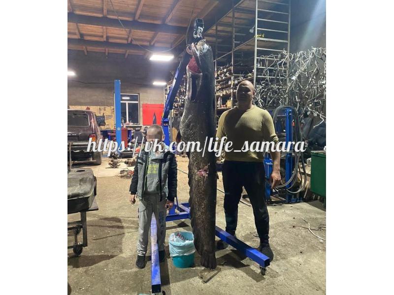 ��� ���� ���� �������� ���� ������� ��������� ������� ����� ������� ��������: � �� ���������� �� ��?