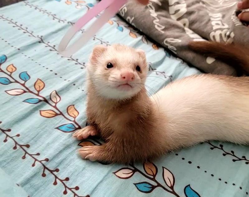 ������� ������ ����� ����������, ��� ������� �������-������� � �������