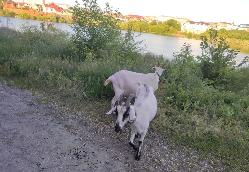 ��� �� �������? ����������� � ������ ������ ���� �� ������ - ��� � ������ ������ �������