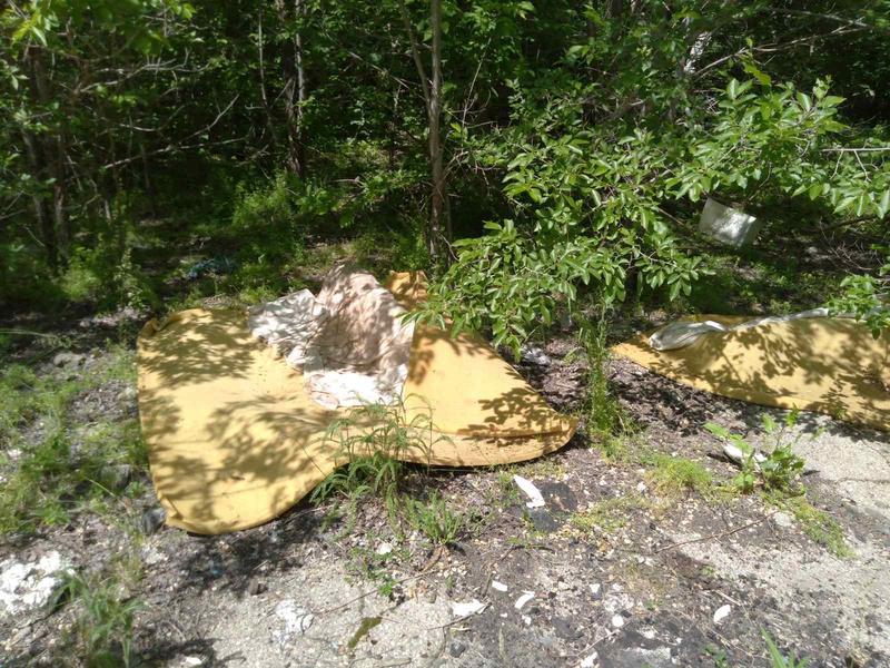 ������� ���������� ���������� ����������� ��������������������� ���������� � ���������� �����