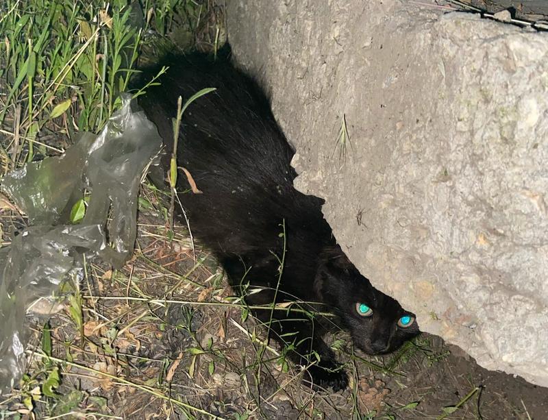 ������� ������� ����� �������, ����� ������� ��������������� �������, �� ���� ������ ���������� �� �������