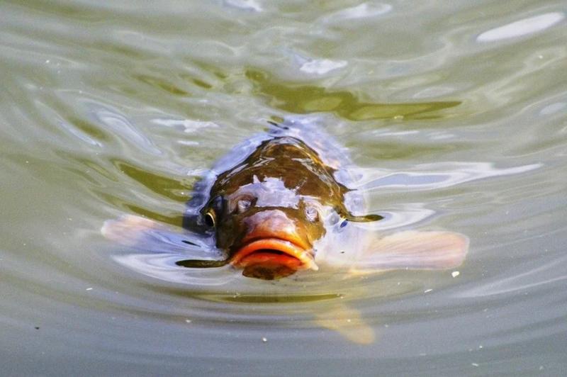 �� ���� �� ����, �� ������ �� �����: ��������� ����� ������ ������ �� ������ �����