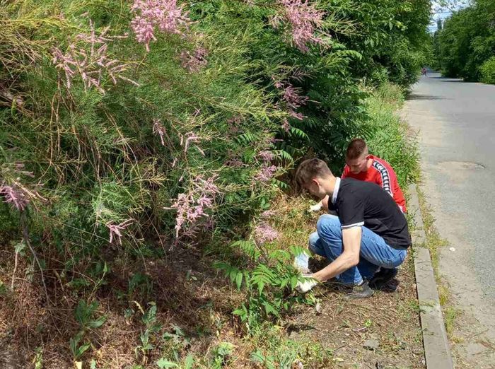 ����� �� ������� � ������� ����� ������