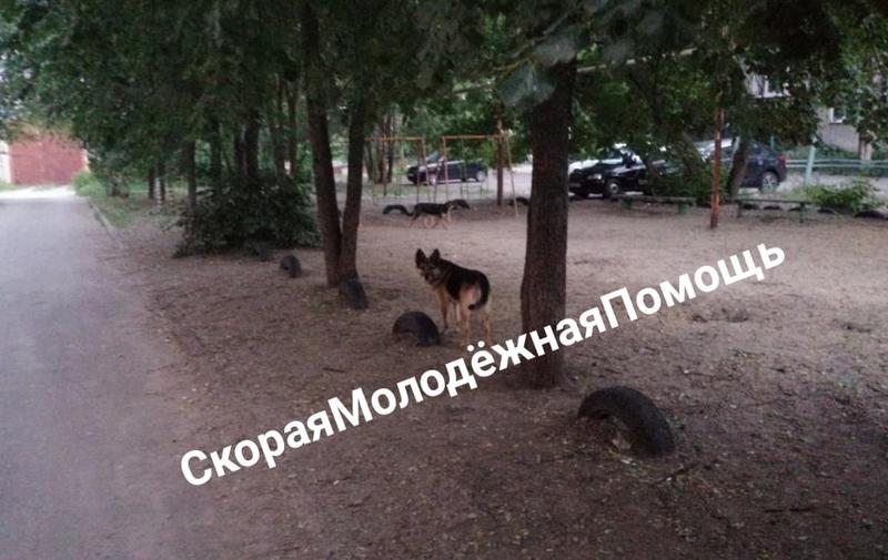 ������� ����� ��� ������? �������� ����������� �� ������, ���������� �������