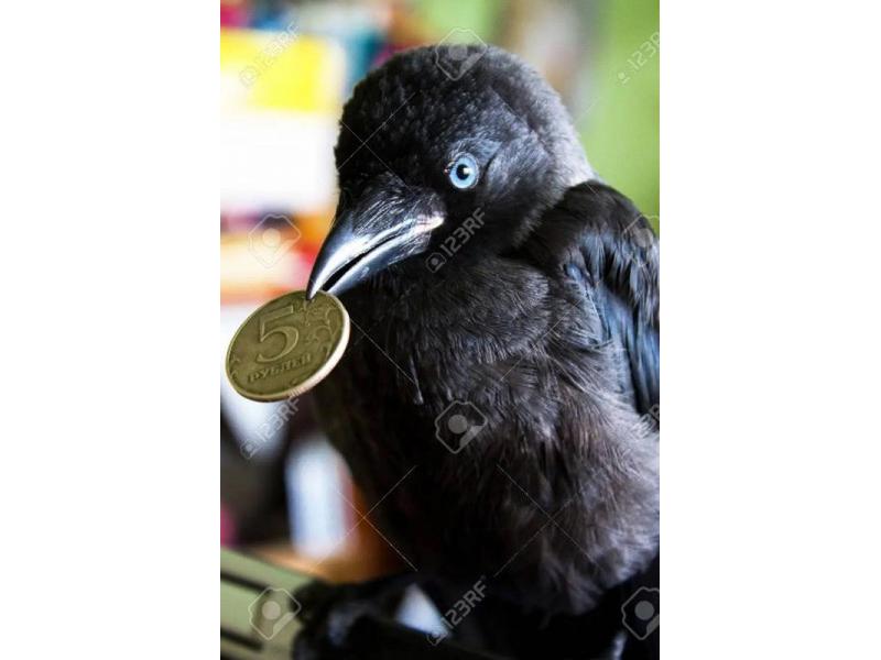 ����������� ����� ����� ���� ������: �������� ����� ������� 2800 ������