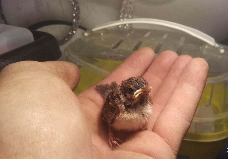 ������ ������� ������ ����� �������