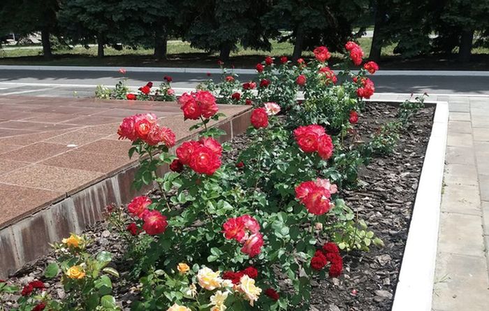 � ������� ������������� �������� ����� 70 ����� �������� ��������