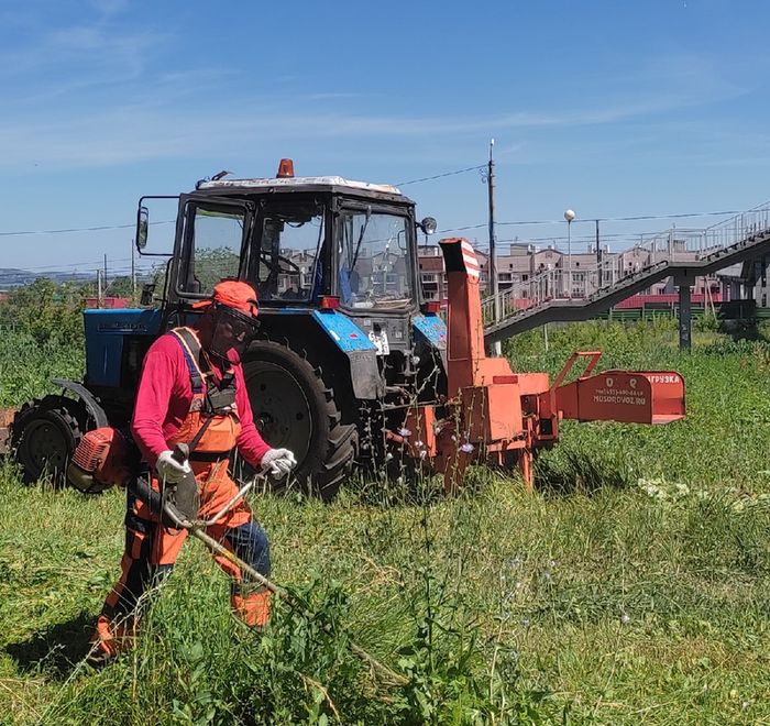 �������� �������� � ����������� �� ���������� ��������� � ������� ����� 50 �������