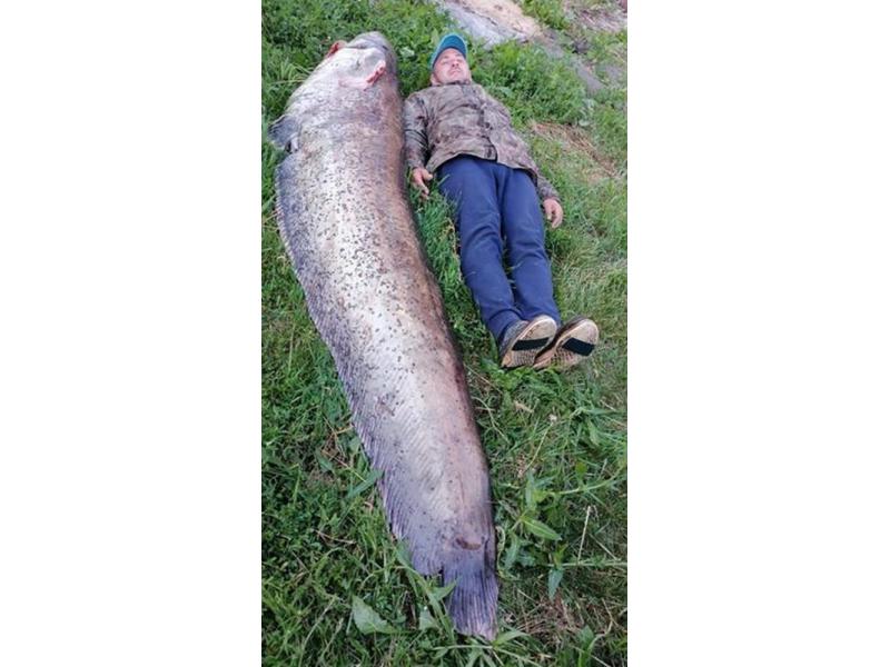 ������ ������� � ����� �������� ���� ����� ������ ��������: ������� ����� �� �����