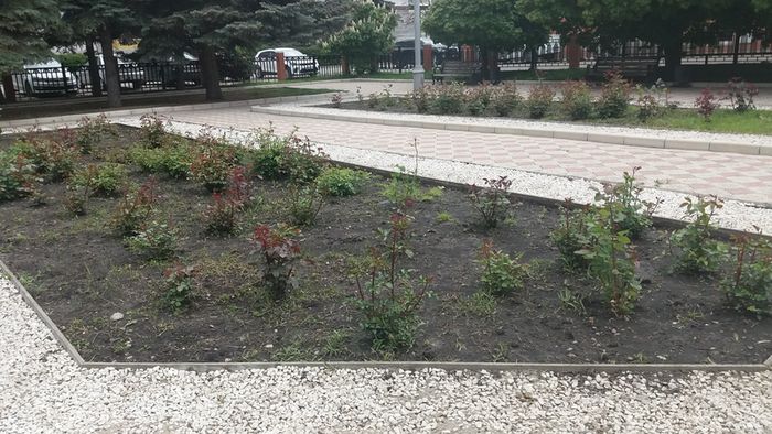 ������� �������������: ������ ������� ������ � ������ ������ ������� ����������