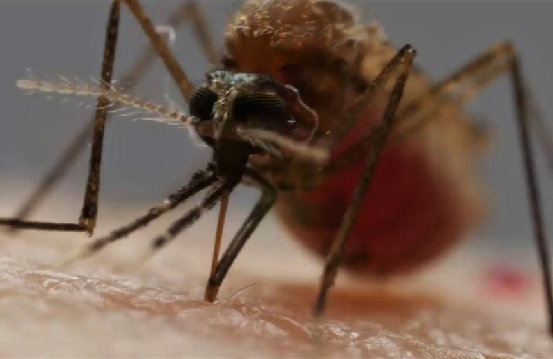 ������ ���������� ������ ������������ �� ����������� �������� �������